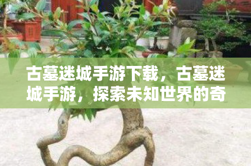 古墓迷城手游下载,古墓迷城手游,探索未知世界的奇幻之旅 古墓迷城手游下载,古墓迷城手游,探索未知世界的奇幻之旅