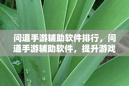 问道手游辅助软件排行,问道手游辅助软件,提升游戏体验的利器 问道手游辅助软件排行,问道手游辅助软件,提升游戏体验的利器