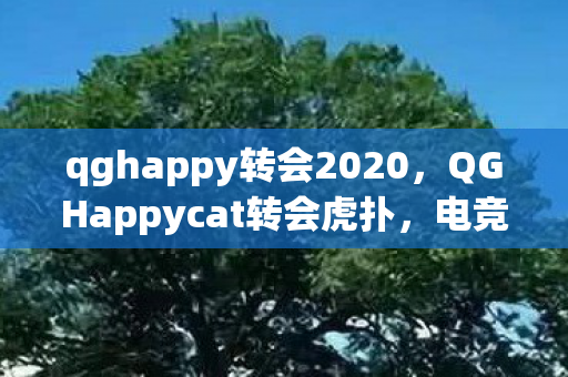 qghappy转会2020，QGHappycat转会虎扑，电竞新星的新征程