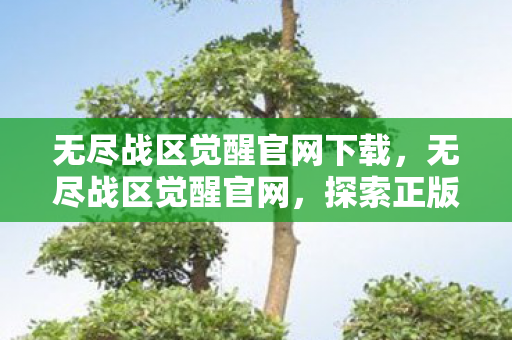 无尽战区觉醒官网下载，无尽战区觉醒官网，探索正版游戏体验的无限可能