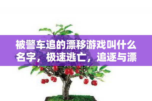 被警车追的漂移游戏叫什么名字，极速逃亡，追逐与漂移的极限挑战