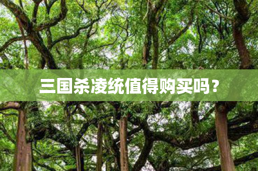 三国杀凌统值得购买吗? 三国杀凌统值得购买吗?