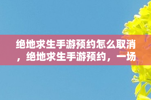 绝地求生手游预约怎么取消，绝地求生手游预约，一场全民狂欢的期待