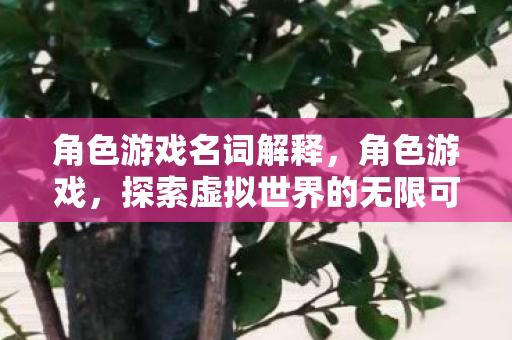 角色游戏名词解释,角色游戏,探索虚拟世界的无限可能 角色游戏名词解释,角色游戏,探索虚拟世界的无限可能