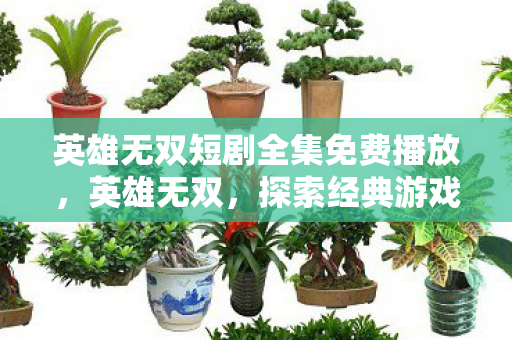 英雄无双短剧全集免费播放,英雄无双,探索经典游戏的魅力与传承 英雄无双短剧全集免费播放,英雄无双,探索经典游戏的魅力与传承