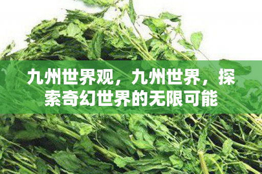 九州世界观,九州世界,探索奇幻世界的无限可能 九州世界观,九州世界,探索奇幻世界的无限可能