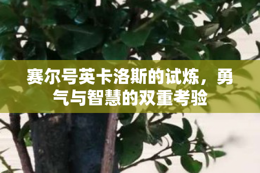 赛尔号英卡洛斯的试炼,勇气与智慧的双重考验 赛尔号英卡洛斯的试炼,勇气与智慧的双重考验