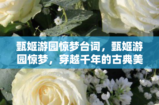 甄姬游园惊梦台词，甄姬游园惊梦，穿越千年的古典美学之旅
