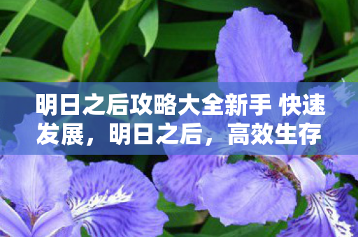 明日之后攻略大全新手 快速发展,明日之后,高效生存与建设攻略 明日之后攻略大全新手 快速发展,明日之后,高效生存与建设攻略