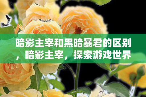 暗影主宰和黑暗暴君的区别，暗影主宰，探索游戏世界的另一面