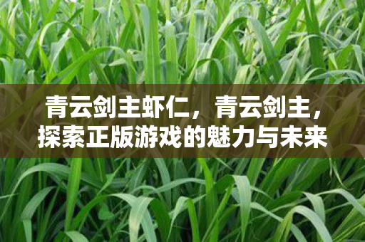 青云剑主虾仁，青云剑主，探索正版游戏的魅力与未来