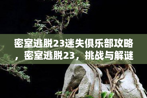 密室逃脱23迷失俱乐部攻略，密室逃脱23，挑战与解谜的极致体验