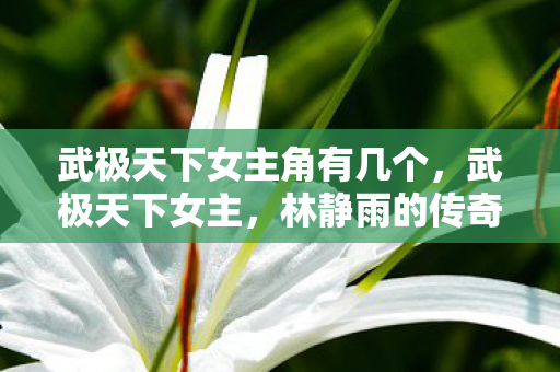 武极天下女主角有几个,武极天下女主,林静雨的传奇之路 武极天下女主角有几个,武极天下女主,林静雨的传奇之路