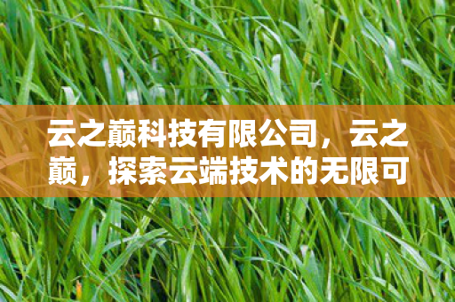 云之巅科技有限公司,云之巅,探索云端技术的无限可能 云之巅科技有限公司,云之巅,探索云端技术的无限可能