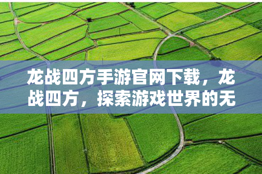 龙战四方手游官网下载,龙战四方,探索游戏世界的无限可能 龙战四方手游官网下载,龙战四方,探索游戏世界的无限可能