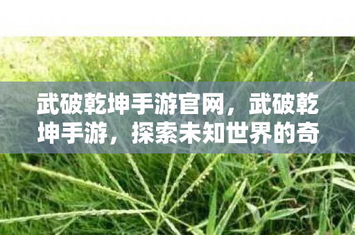 武破乾坤手游官网,武破乾坤手游,探索未知世界的奇幻之旅 武破乾坤手游官网,武破乾坤手游,探索未知世界的奇幻之旅