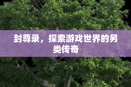 封尊录，探索游戏世界的另类传奇