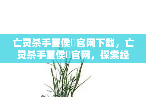 亡灵杀手夏侯惇官网下载,亡灵杀手夏侯惇官网,探索经典,重温传奇 亡灵杀手夏侯惇官网下载,亡灵杀手夏侯惇官网,探索经典,重温传奇