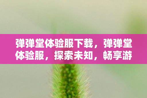 弹弹堂体验服下载,弹弹堂体验服,探索未知,畅享游戏新体验 弹弹堂体验服下载,弹弹堂体验服,探索未知,畅享游戏新体验