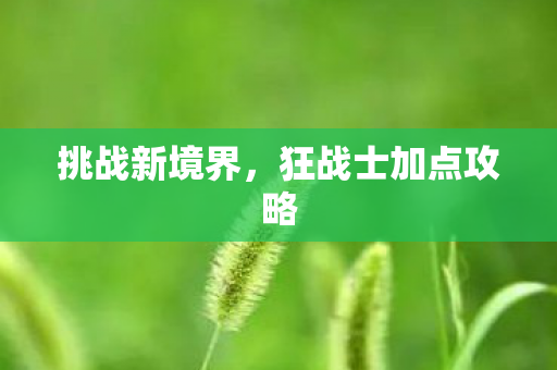 挑战新境界，狂战士加点攻略
