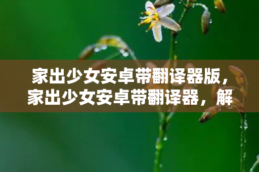 家出少女安卓带翻译器版,家出少女安卓带翻译器,解锁异域风情,畅享游戏乐趣 家出少女安卓带翻译器版,家出少女安卓带翻译器,解锁异域风情,畅享游戏乐趣