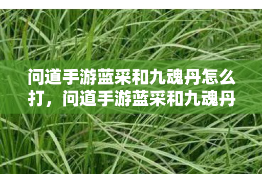 问道手游蓝采和九魂丹怎么打,问道手游蓝采和九魂丹,提升战斗力的神秘丹药 问道手游蓝采和九魂丹怎么打,问道手游蓝采和九魂丹,提升战斗力的神秘丹药