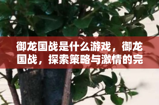 御龙国战是什么游戏,御龙国战,探索策略与激情的完美结合 御龙国战是什么游戏,御龙国战,探索策略与激情的完美结合