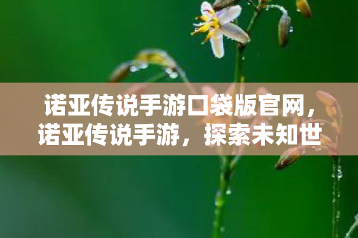 诺亚传说手游口袋版官网,诺亚传说手游,探索未知世界的奇幻之旅 诺亚传说手游口袋版官网,诺亚传说手游,探索未知世界的奇幻之旅