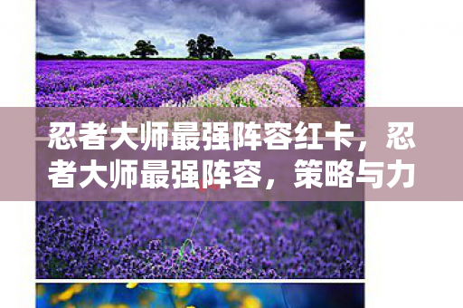 忍者大师最强阵容红卡,忍者大师最强阵容,策略与力量的完美结合 忍者大师最强阵容红卡,忍者大师最强阵容,策略与力量的完美结合