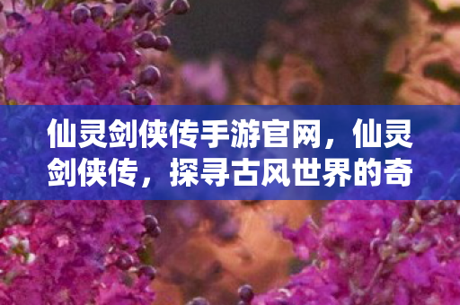 仙灵剑侠传手游官网，仙灵剑侠传，探寻古风世界的奇幻之旅