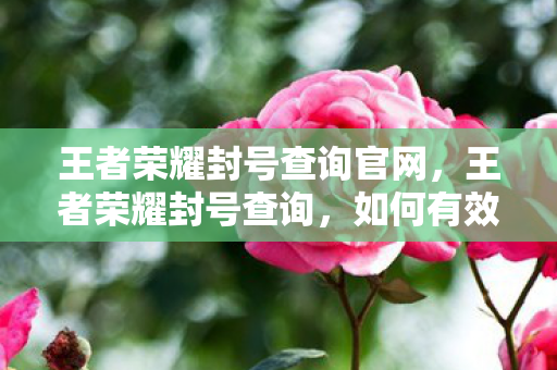 王者荣耀封号查询官网，王者荣耀封号查询，如何有效查询与应对封号问题