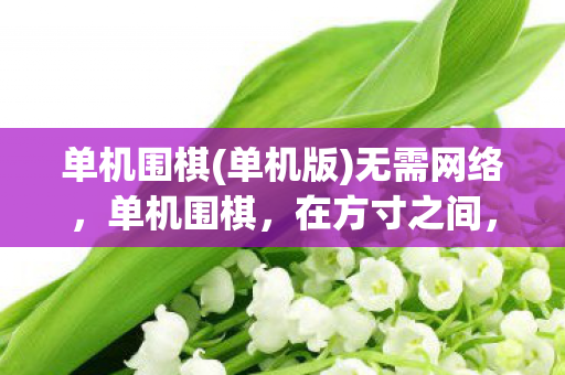 单机围棋(单机版)无需网络,单机围棋,在方寸之间,领略智慧与艺术的交融 单机围棋(单机版)无需网络,单机围棋,在方寸之间,领略智慧与艺术的交融