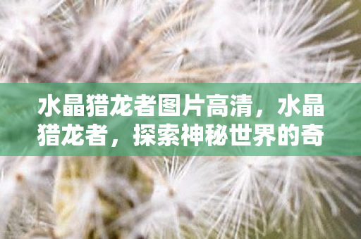 水晶猎龙者图片高清,水晶猎龙者,探索神秘世界的奇幻之旅 水晶猎龙者图片高清,水晶猎龙者,探索神秘世界的奇幻之旅