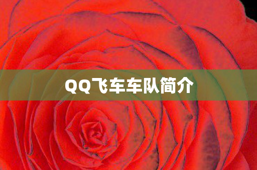 QQ飞车车队简介
