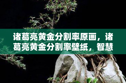 诸葛亮黄金分割率原画,诸葛亮黄金分割率壁纸,智慧与美学的完美融合 诸葛亮黄金分割率原画,诸葛亮黄金分割率壁纸,智慧与美学的完美融合