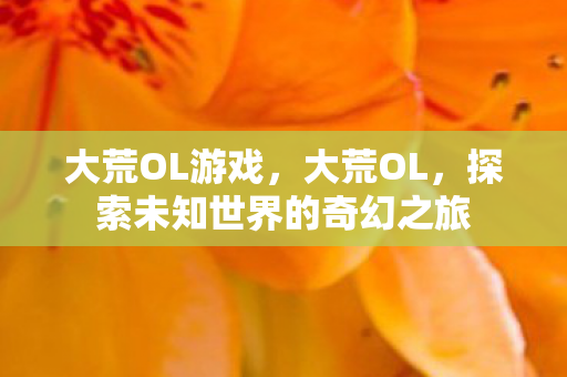 大荒OL游戏,大荒OL,探索未知世界的奇幻之旅 大荒OL游戏,大荒OL,探索未知世界的奇幻之旅