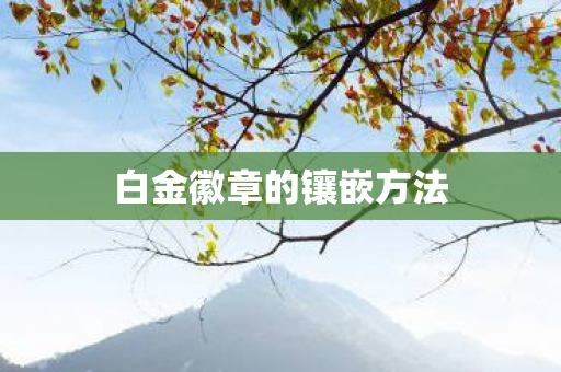 白金徽章的镶嵌方法 白金徽章的镶嵌方法