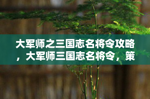 大军师之三国志名将令攻略，大军师三国志名将令，策略与智慧的碰撞