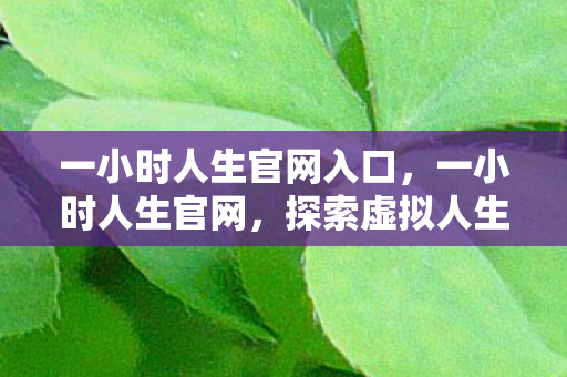 一小时人生官网入口，一小时人生官网，探索虚拟人生的无限可能