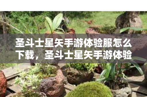 圣斗士星矢手游体验服怎么下载,圣斗士星矢手游体验服,沉浸式战斗体验与策略深度解析 圣斗士星矢手游体验服怎么下载,圣斗士星矢手游体验服,沉浸式战斗体验与策略深度解析