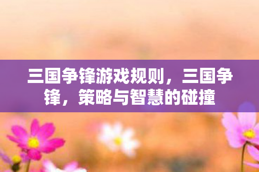 三国争锋游戏规则,三国争锋,策略与智慧的碰撞 三国争锋游戏规则,三国争锋,策略与智慧的碰撞