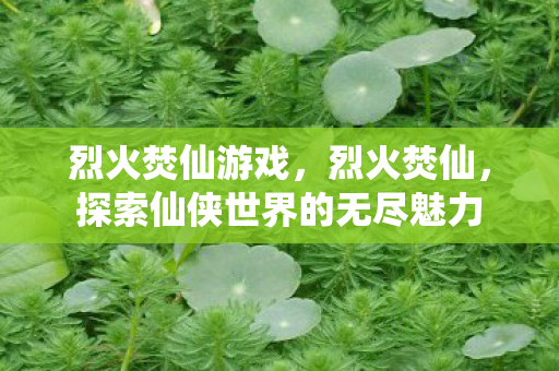 烈火焚仙游戏,烈火焚仙,探索仙侠世界的无尽魅力 烈火焚仙游戏,烈火焚仙,探索仙侠世界的无尽魅力