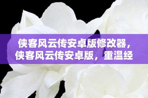 侠客风云传安卓版修改器,侠客风云传安卓版,重温经典武侠,畅享移动江湖 侠客风云传安卓版修改器,侠客风云传安卓版,重温经典武侠,畅享移动江湖