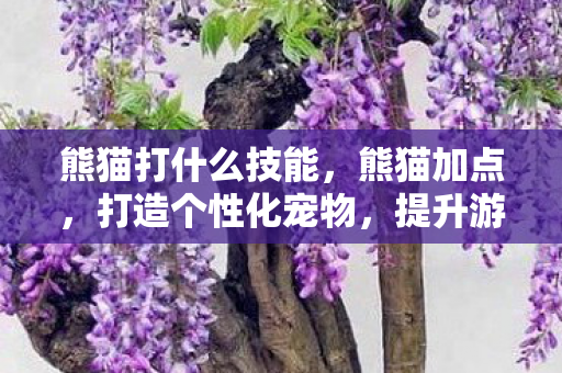 熊猫打什么技能,熊猫加点,打造个性化宠物,提升游戏乐趣 熊猫打什么技能,熊猫加点,打造个性化宠物,提升游戏乐趣