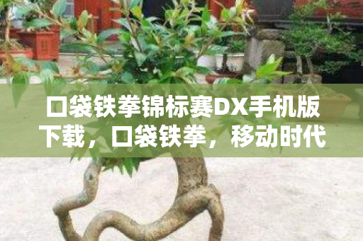 口袋铁拳锦标赛DX手机版下载，口袋铁拳，移动时代的格斗新体验