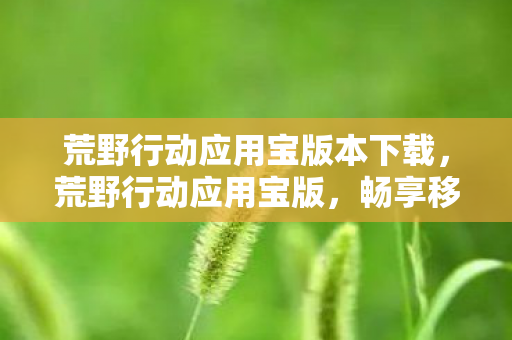 荒野行动应用宝版本下载，荒野行动应用宝版，畅享移动吃鸡新体验