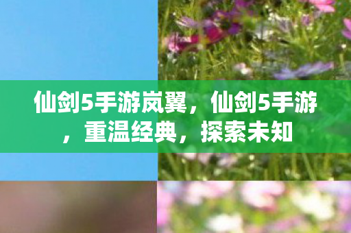 仙剑5手游岚翼,仙剑5手游,重温经典,探索未知 仙剑5手游岚翼,仙剑5手游,重温经典,探索未知