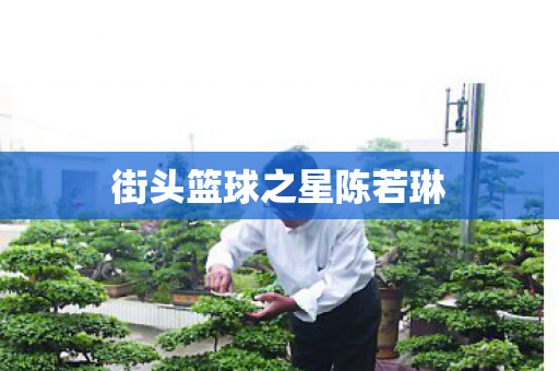 街头篮球之星陈若琳