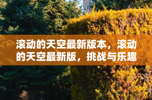 滚动的天空最新版本，滚动的天空最新版，挑战与乐趣并存的全新体验