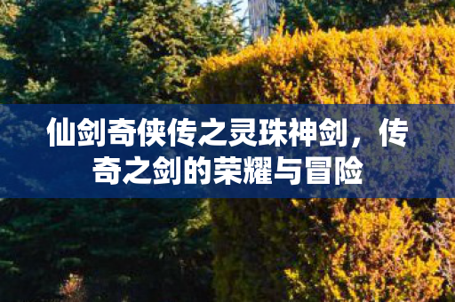 仙剑奇侠传之灵珠神剑，传奇之剑的荣耀与冒险